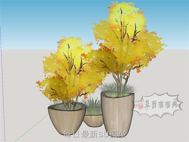 花盆植物景观SU模型 1