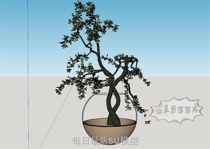 盆栽花盆植物SU模型 1