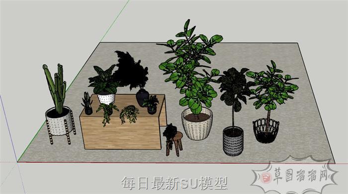 植物花盆盆栽SU模型 1