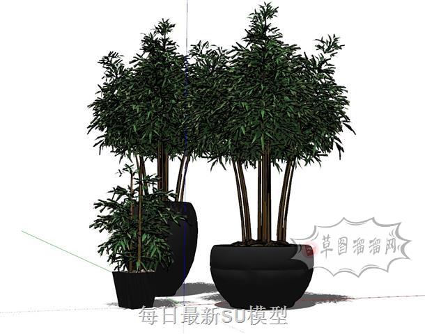 盆栽花盆植物SU模型