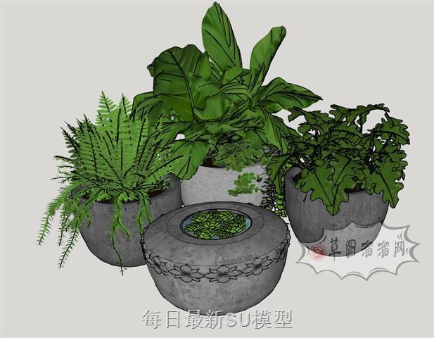 花盆盆栽植物SU模型 1