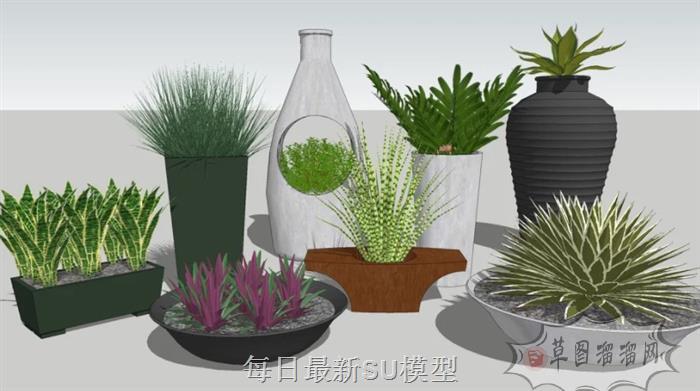 花盆盆栽植物SU模型 1