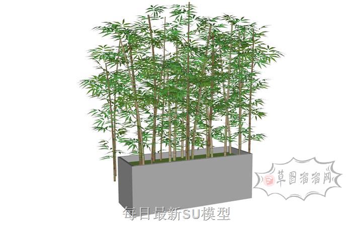 竹子装饰竹林SU模型 1