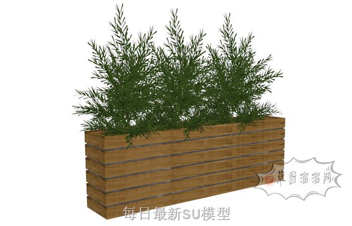 花箱植物SU模型 1