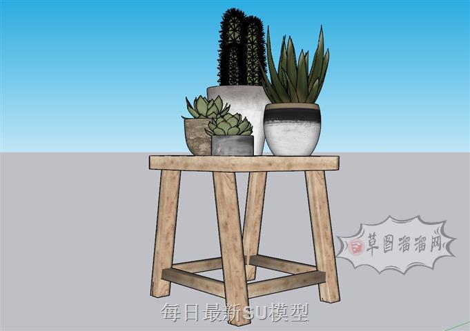 多肉植物摆件SU模型 1