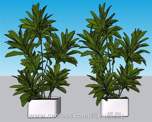 花盆盆景植物SU模型 1