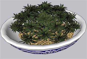 青花瓷花盆植物SU模型 免费sketchup模型下载