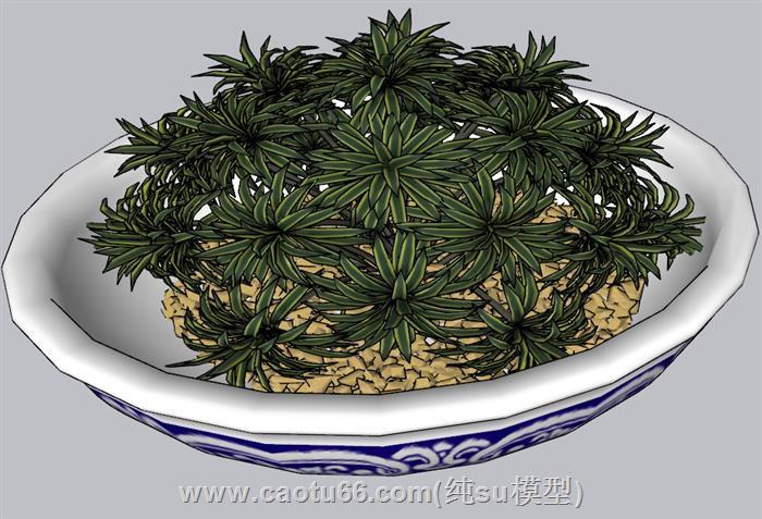 青花瓷花盆植物SU模型 1