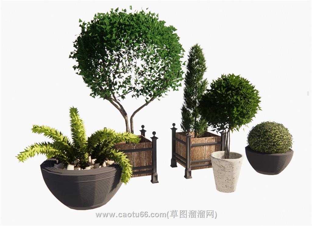 盆景绿植花盆SU模型 1