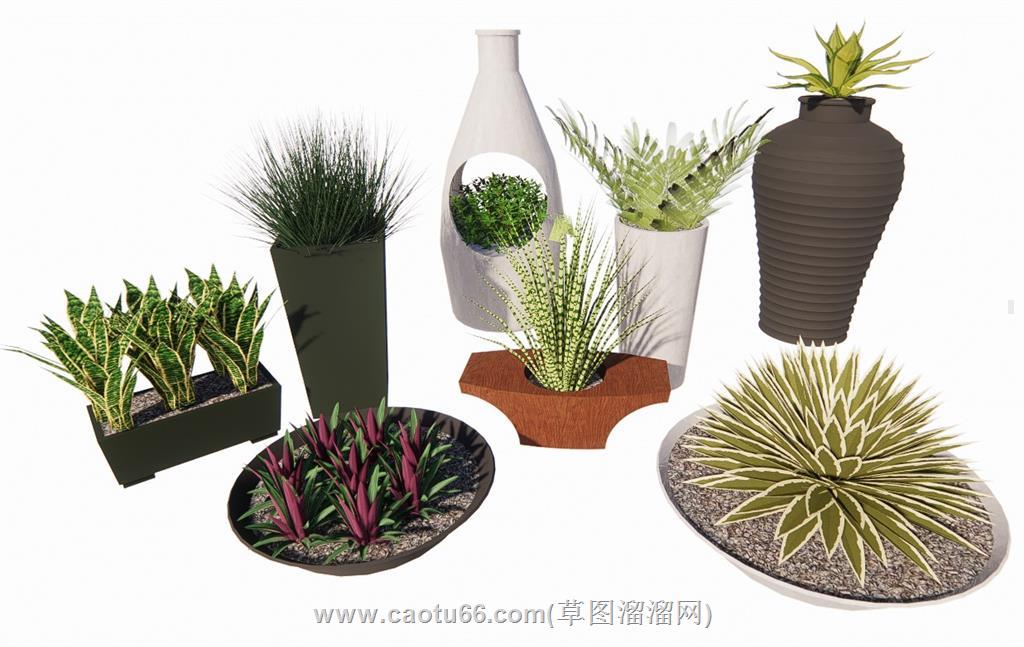 花瓶植物SU模型 1