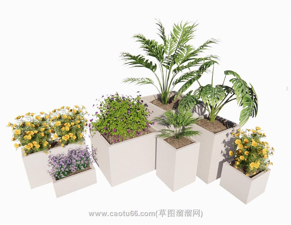 花盆植物SU模型 1