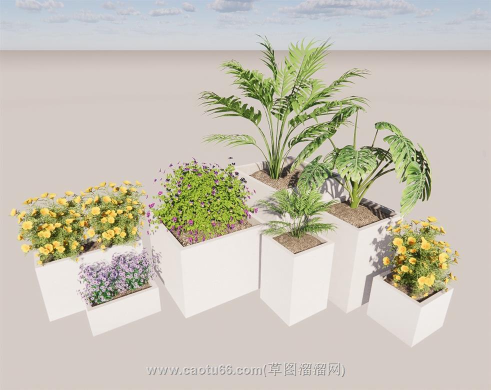 花盆植物SU模型 2