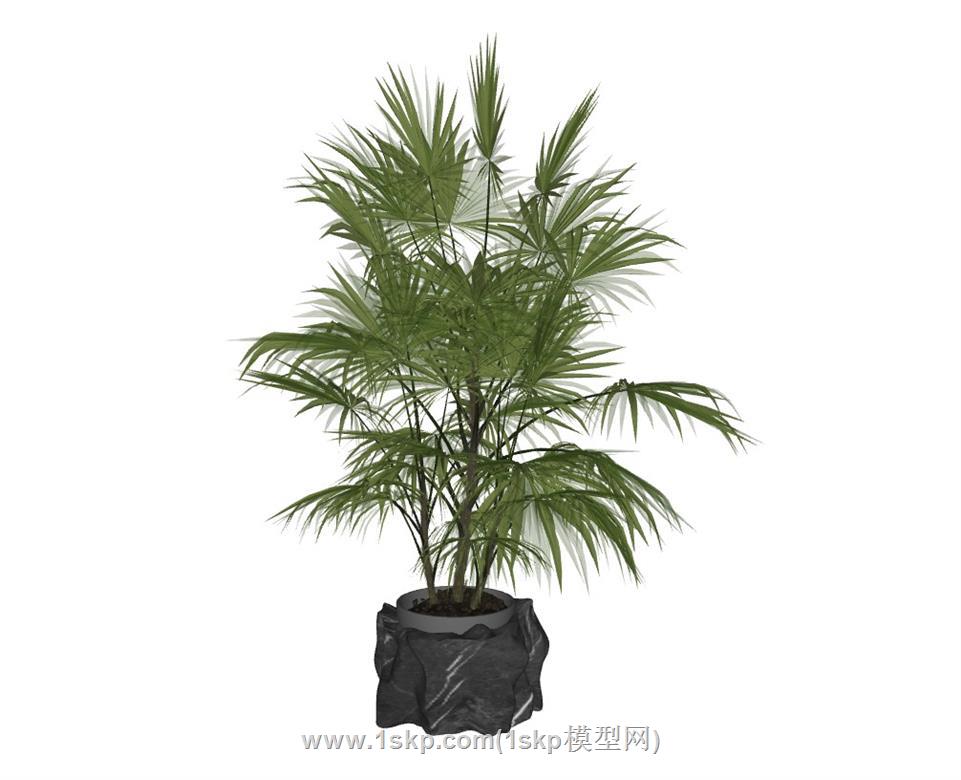 花盆植物盆栽SU模型 1