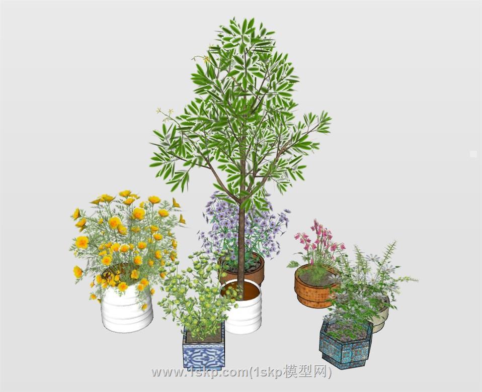 花盆植物SU模型 1