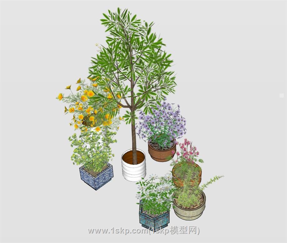 花盆植物SU模型 2