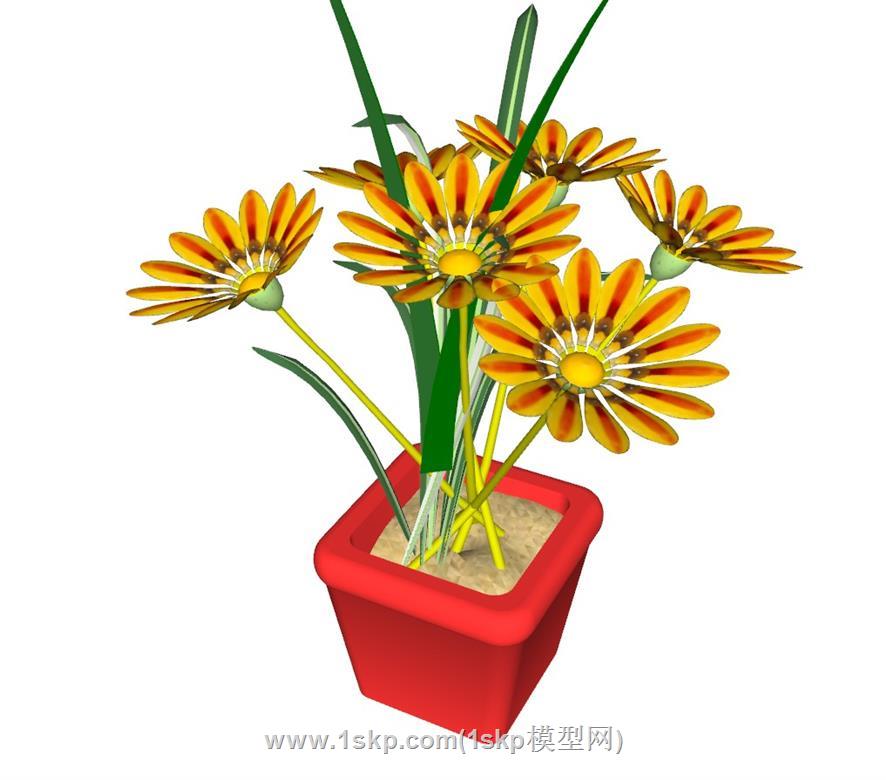 花盆.鲜花.菊花SU模型 1