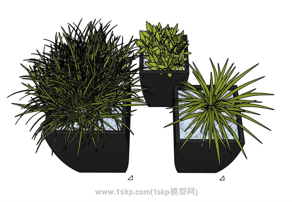 花盆植物SU模型 3