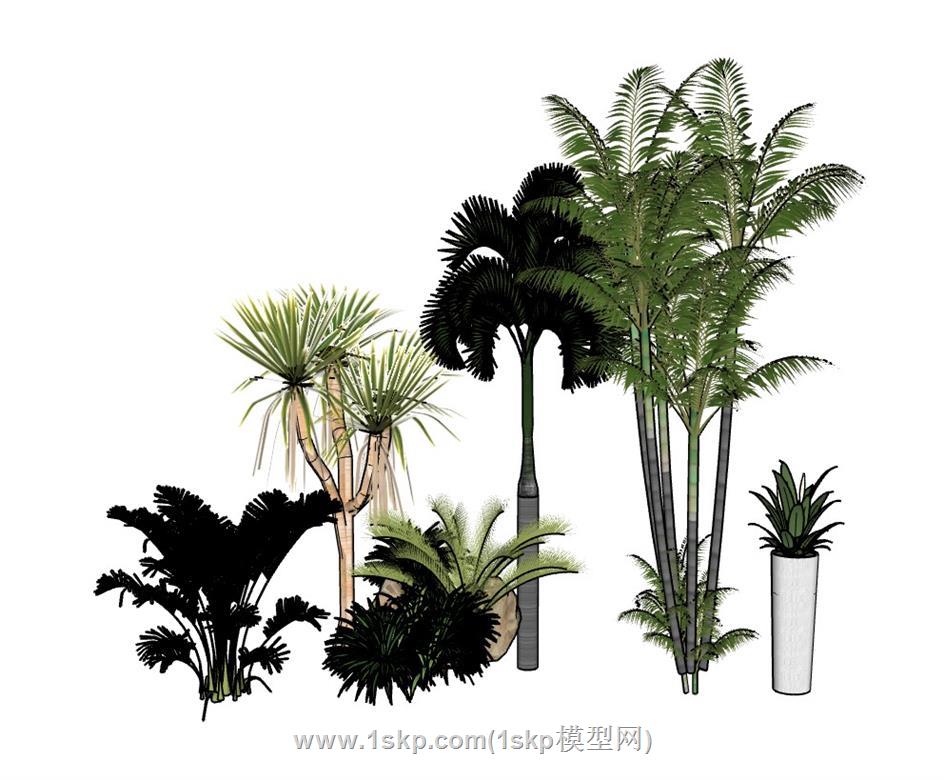 植物灌木粽树SU模型 1