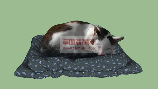 装饰小猫咪SU模型 1