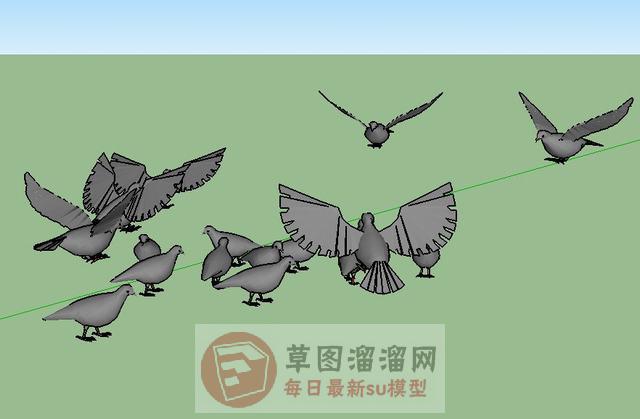 鸽子鸟动物SU模型 1