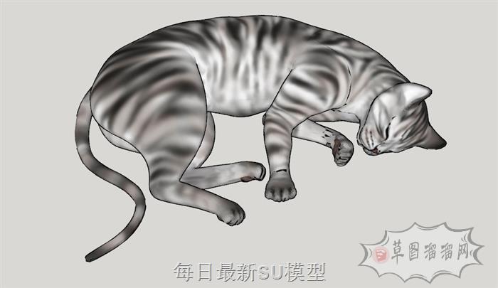 小猫猫咪动物SU模型 1