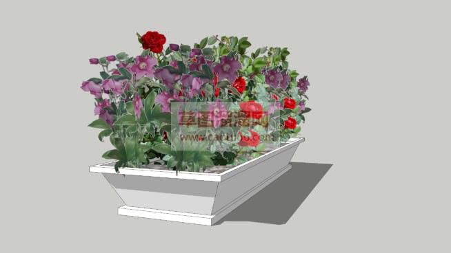 花圃花箱植物SU模型 1